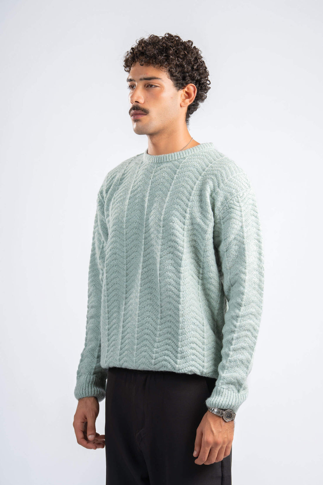 Man wearing a light green sweater and black pants on a white background